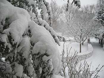 sneeuw